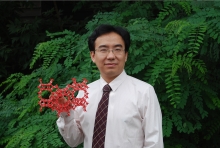 开云在线创新论坛第一千二百七十三讲暨120周年校庆年系列活动： Unexpected slow diffusion in hierarchical porous materials with combined surface and configurational diffusion   