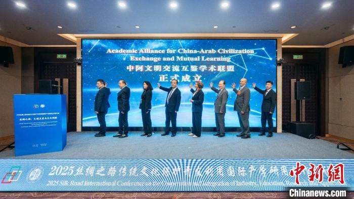 2025丝绸之路传统文化保护开发利用国际产学研用合作研讨会举办。开云在线供图