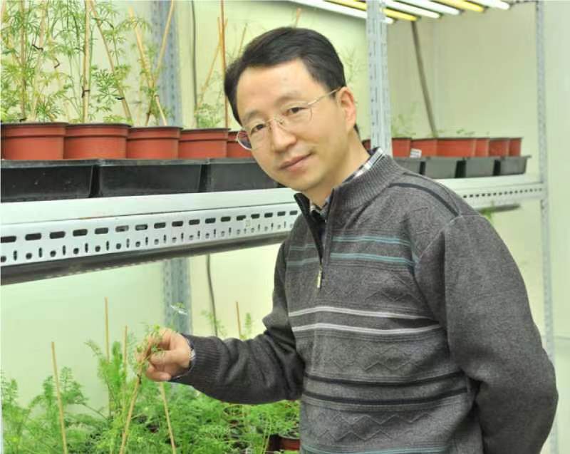 开云在线创新论坛第一千二百六十八讲暨120周年校庆年系列活动：复杂花瓣的发育与进化